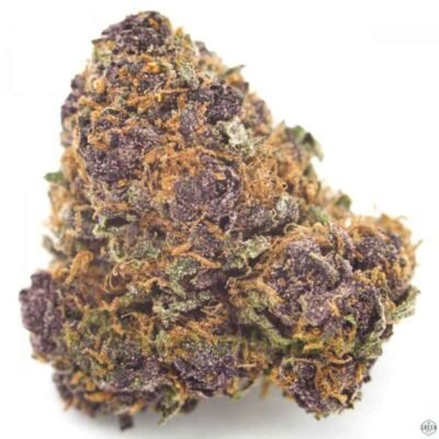 Buy Purple punch Strain and Seeds