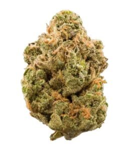 Lilac Diesel Cannabis Strain